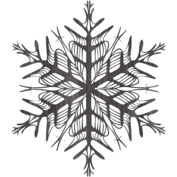 snowflake 37 icon