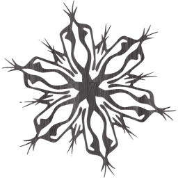 snowflake 4 icon