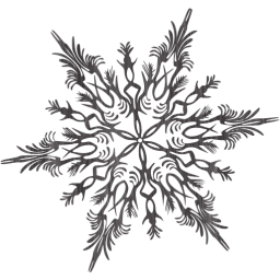snowflake 41 icon
