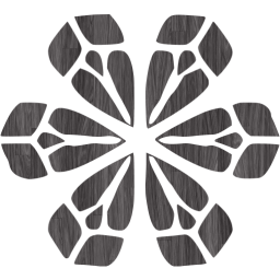 snowflake 9 icon