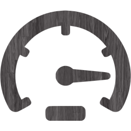 speed icon