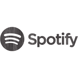 spotify 2 icon