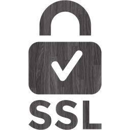 ssl badge 2 icon