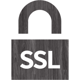 ssl badge 4 icon