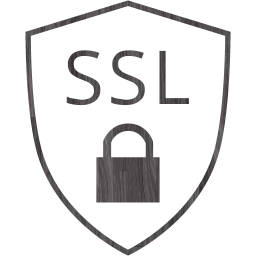 ssl badge icon
