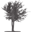 tree 15