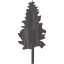 tree 19