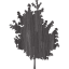 tree 25