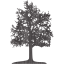 tree 26