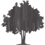 tree 32