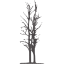 tree 52