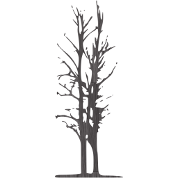 tree 52 icon
