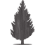 tree 55