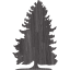 tree 70