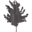 tree 71