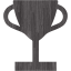 trophy 3