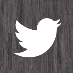 twitter 2 icon