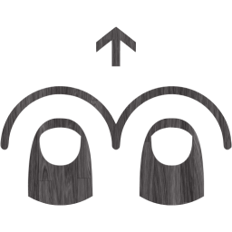 two finger swipe up icon