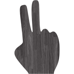 two fingers icon