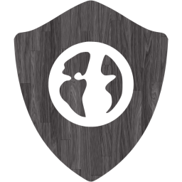 web shield icon