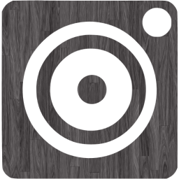 webcam 4 icon