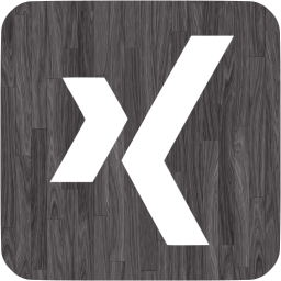 xing 3 icon
