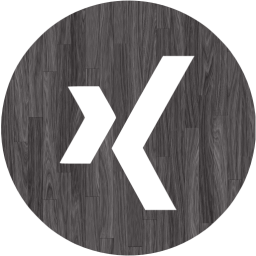 xing 4 icon