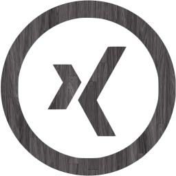 xing 5 icon