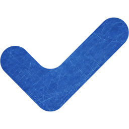 check mark 12 icon