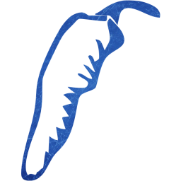 chili pepper 20 icon