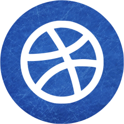 dribbble 4 icon