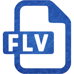 flv icon