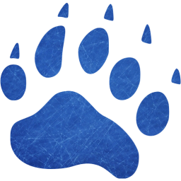 footprints bear icon