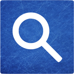 google web search icon