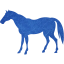 horse 4