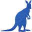 kangaroo