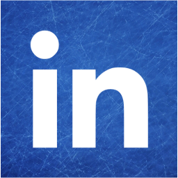 linkedin 2 icon