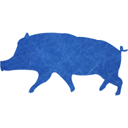 pig 10 icon