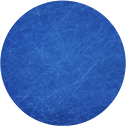 record icon