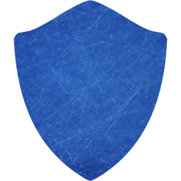 shield icon