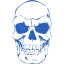 skull 41