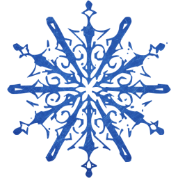 snowflake 10 icon