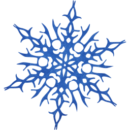 snowflake 14 icon