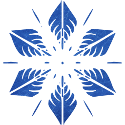 snowflake 5 icon