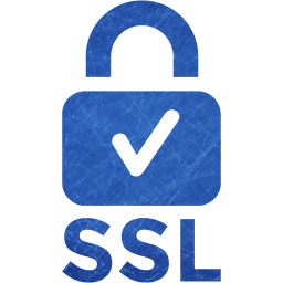 ssl badge 2 icon