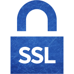 ssl badge 4 icon
