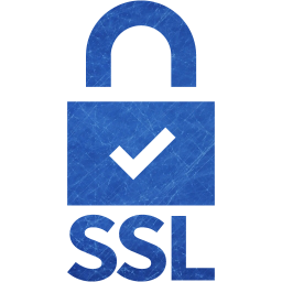 ssl badge 5 icon