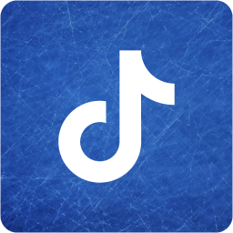 tiktok 2 icon