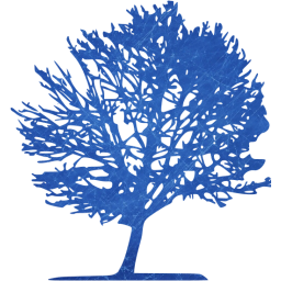 tree 11 icon