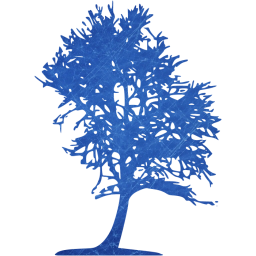 tree 43 icon